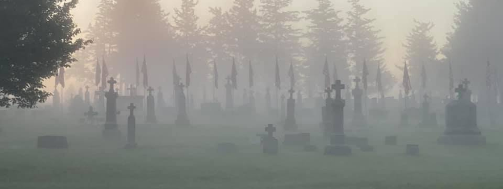 Foggy Morning by Cemetery